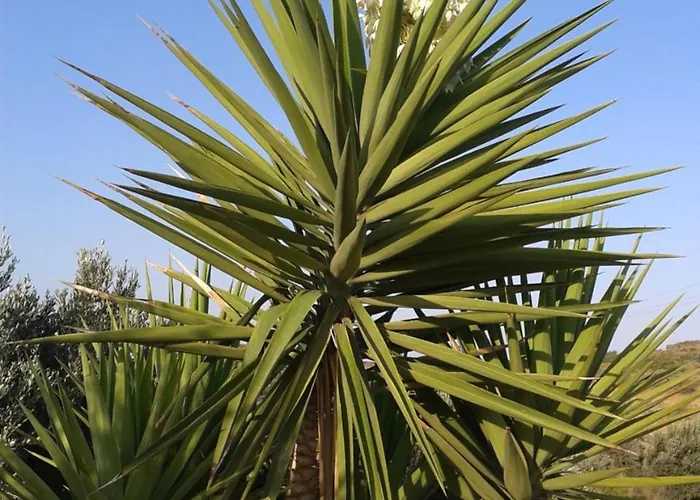 アパート Smaragda &