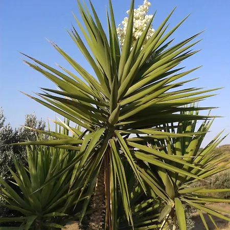 Lejlighed Smaragda &