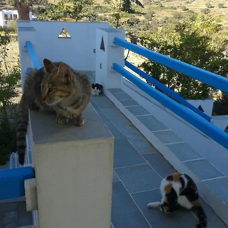 Smaragda & Platis Gialos (Sifnos)