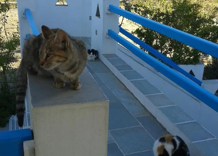 Smaragda & Platis Gialos (Sifnos)